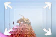 Bild mit Zoom Effekt