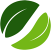 eco-icon
